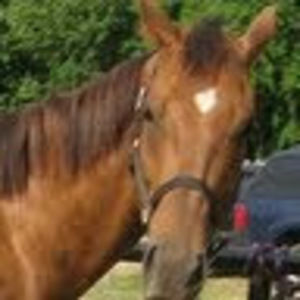 Meet your Posher, Trisha